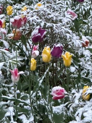 Прикрепленное изображение: 1CktErrx9Bg.jpg